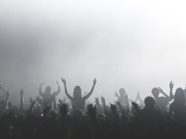 Festival Nights