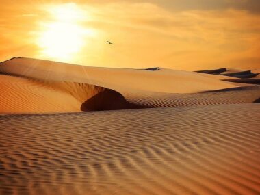 Treasure of the Orient