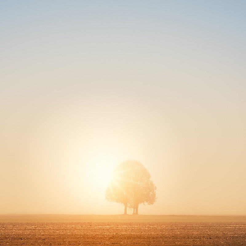 The Minimal