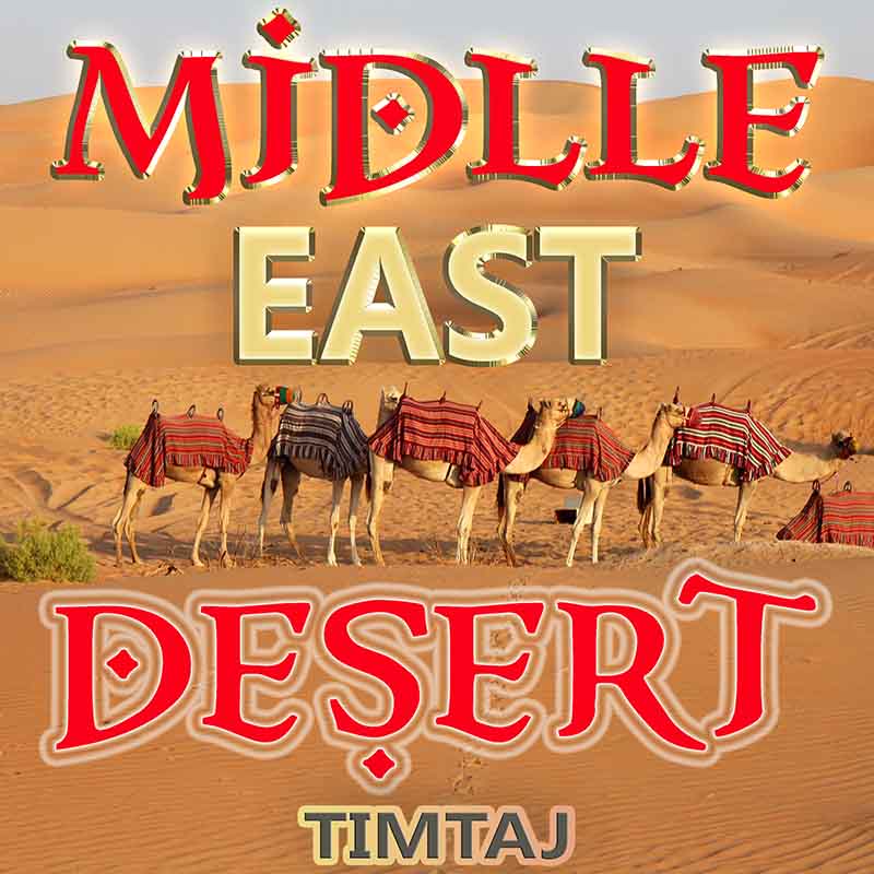 Middle East Desert