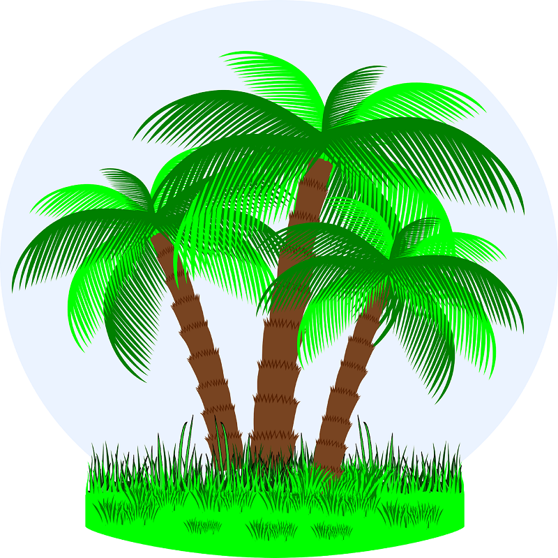 Tropical Resort