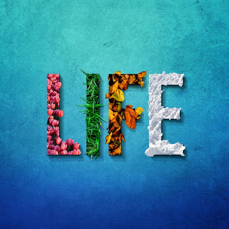 Beautiful Life