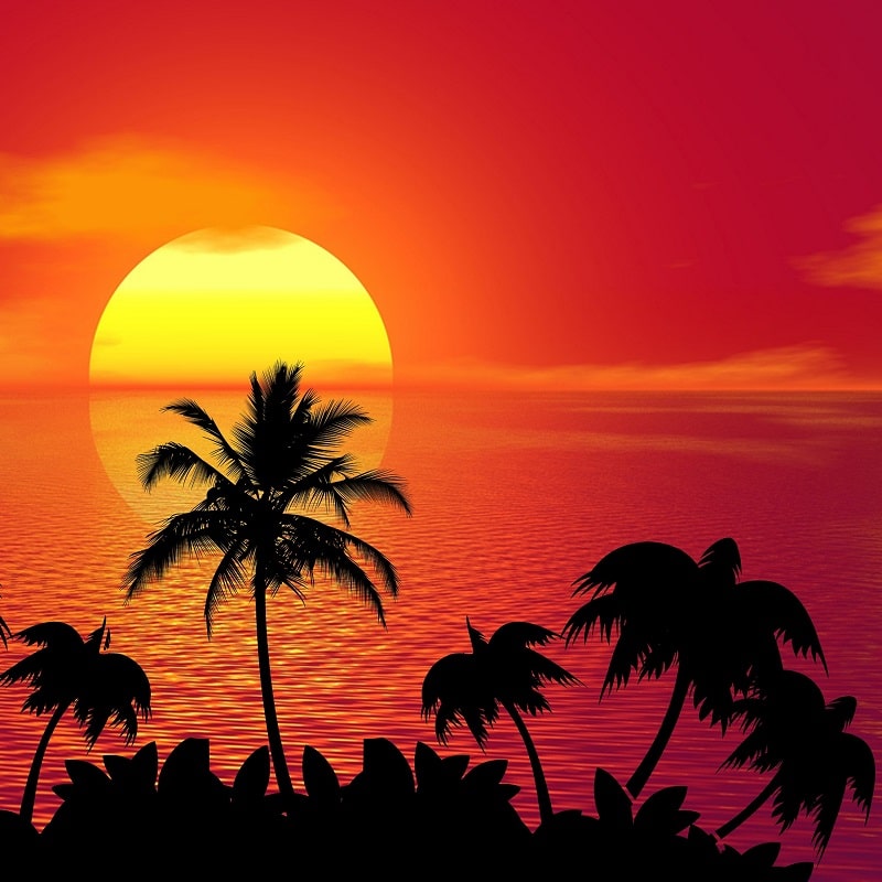Tropical Getaway